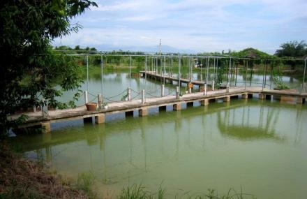 南宁乡村大世界