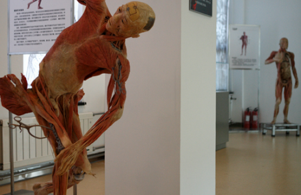 大连生命奥秘博物馆