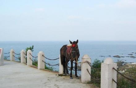 烟台养马岛旅游度假区