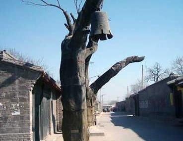 保定冉庄地道战遗址