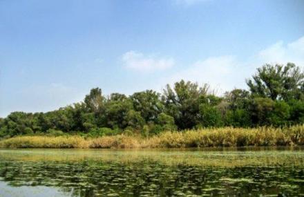 盘锦鼎翔旅游度假区