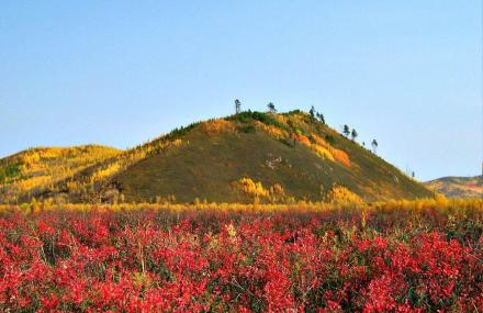 伊春小兴安岭桃山景区