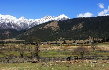 林芝鲁朗风景区