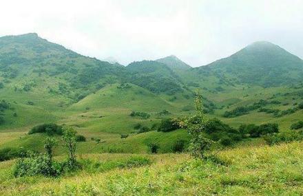 重庆红池坝草原