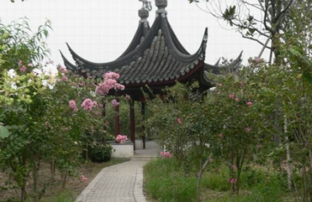 苏州大唐生态园