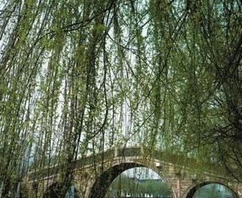 上海福泉山古文化遗址