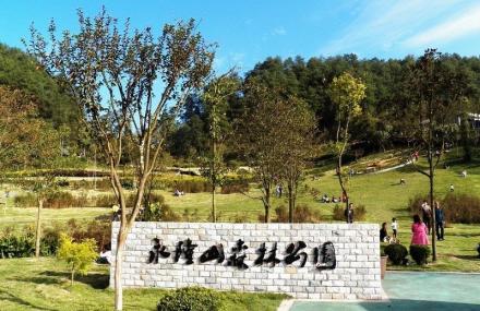 重庆永隆山森林公园
