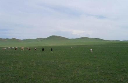 锡林郭勒盟皇家御马苑