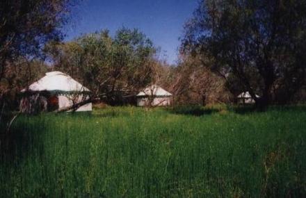 石河子巴音山庄