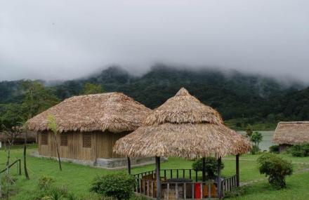 乐东尖峰岭国家森林公园