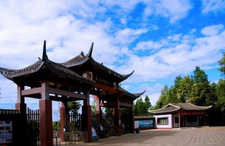 重庆黄水药用植物园