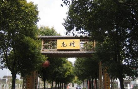 上海毛桥村