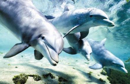 珠海海洋生态馆