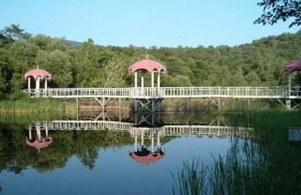 齐齐哈尔铁农园艺园