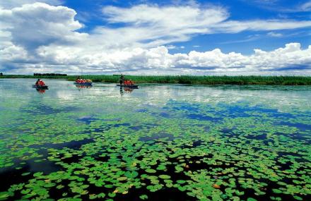 双鸭山七星河自然保护区