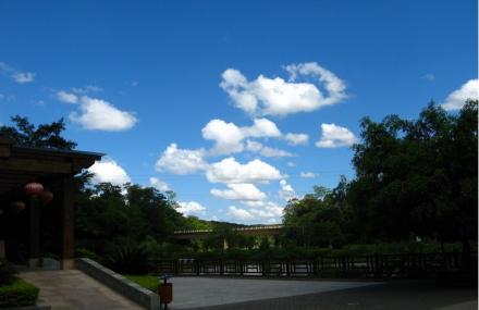 南宁良凤江国家森林公园