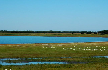 平凉莲华湖景区