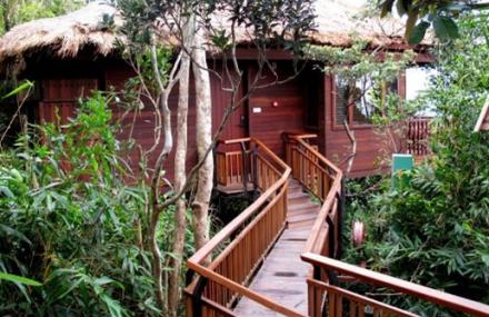 三亚亚龙湾热带天堂森林公园