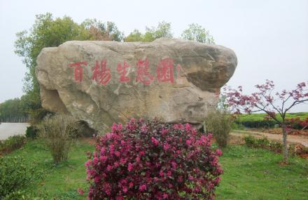 宣城广德百杨生态园