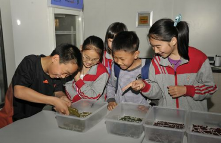 苏州青少年科技文化活动中心