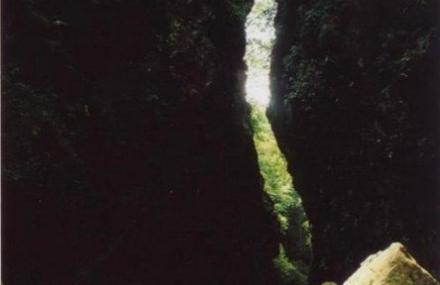 黔南翠泉国家森林公园