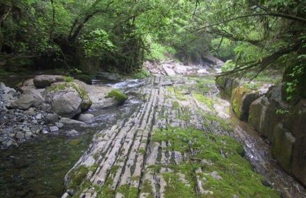 安康千层河旅游风景区