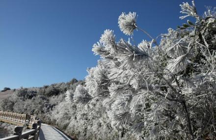 福州中国福州云顶