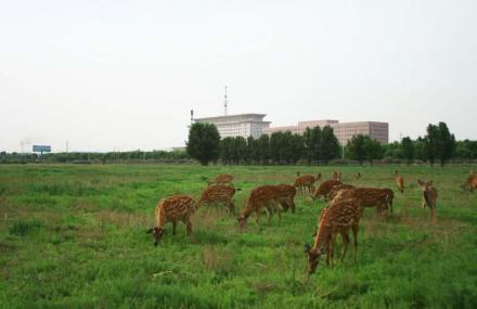 包头赛汗塔拉旅游娱乐园