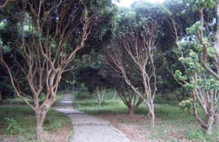 邢台长寿百果庄园