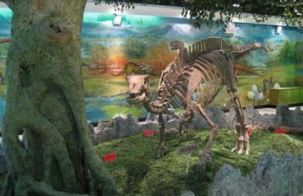 锦州义县化石馆