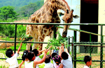 青岛森林野生动物世界