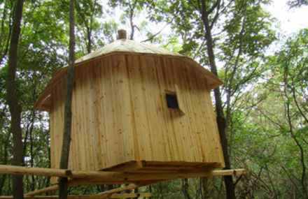 巢湖巢父生态园