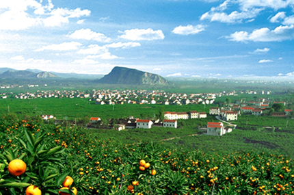 汉中橘园生态观光园