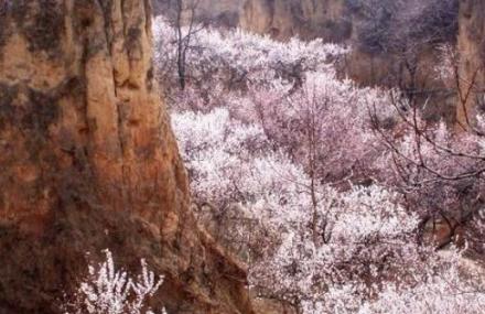 郑州樱桃沟训练基地