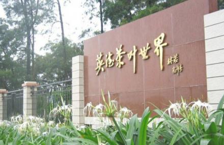 清远英德茶叶世界