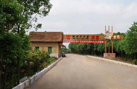 合肥肥西老母鸡生态园