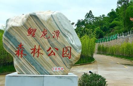 宁波象山鲤龙潭森林公园