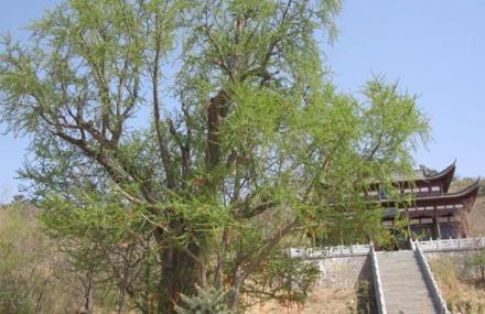 临沂冠山旅游区