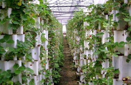 三亚南天生态大观园