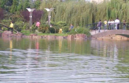 青岛城阳世纪公园