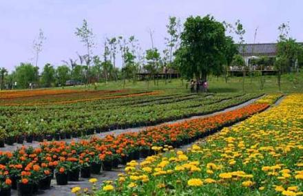 益阳花乡农家乐旅游区