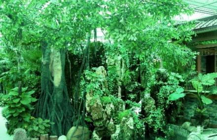 阿勒泰市金山森林公园