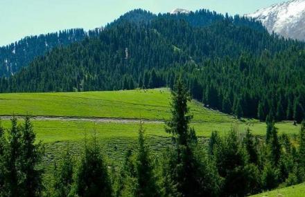 塔城佛山森林公园