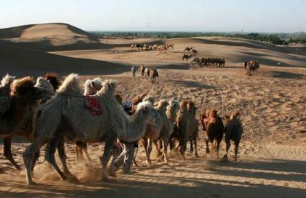 鄂尔多斯库布其沙漠