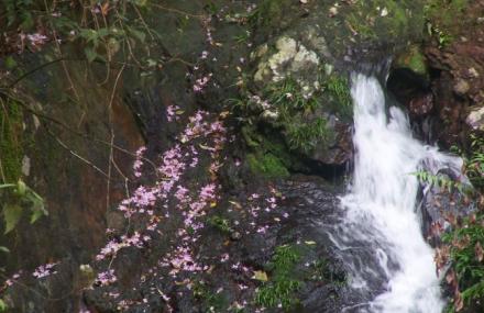 桂林荔浦天河瀑布景区