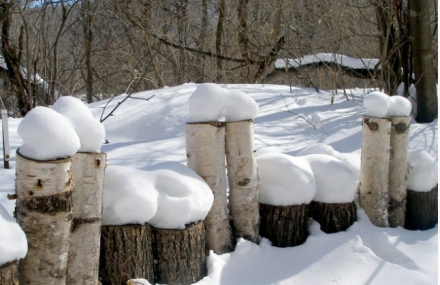 哈尔滨宾县香炉山滑雪场直通车