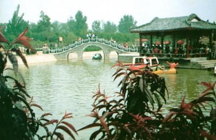 聊城姜堤乐园