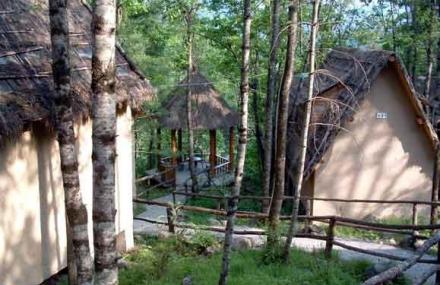 西安黑河森林公园