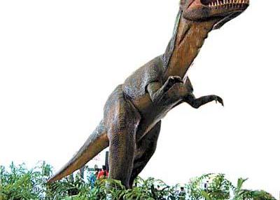 深圳侏罗纪公园