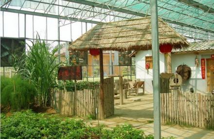 深圳光明农场农科大观园